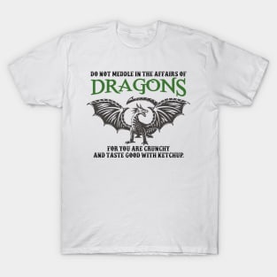 Do Not Meddle In The Affairs Of Dragons T-Shirt